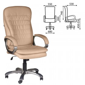 Кресло офисное BRABIX Omega EX-589 в Ужуре - uzhur.katalogmebeli.com | фото