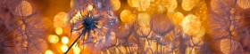 Кухонный фартук Мерцание Одуванчики золотистые 3 серебро в Ужуре - uzhur.katalogmebeli.com | фото
